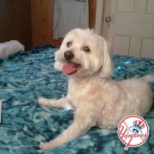 Meet your Posher, Donna